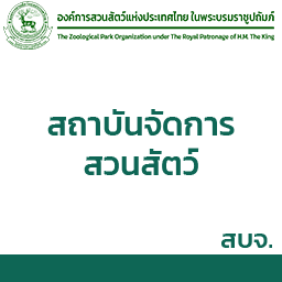 ztzm